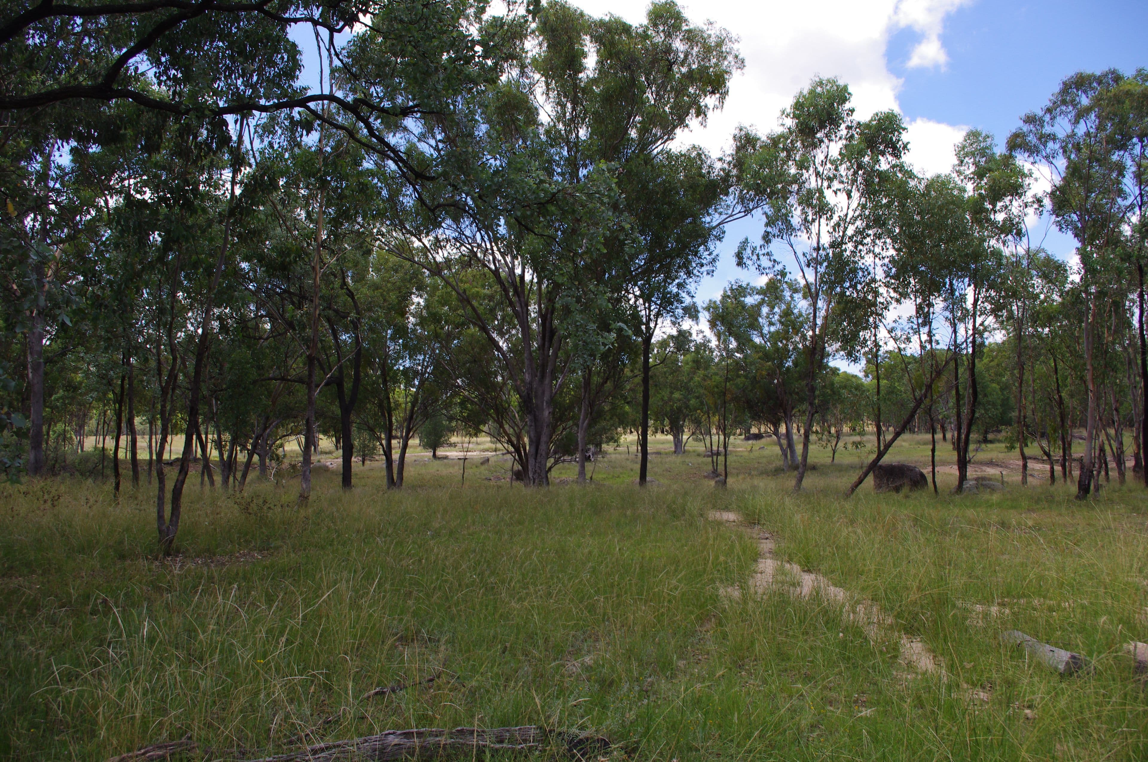 Inverell NSW 2360, Inverell - Thumbnail 6