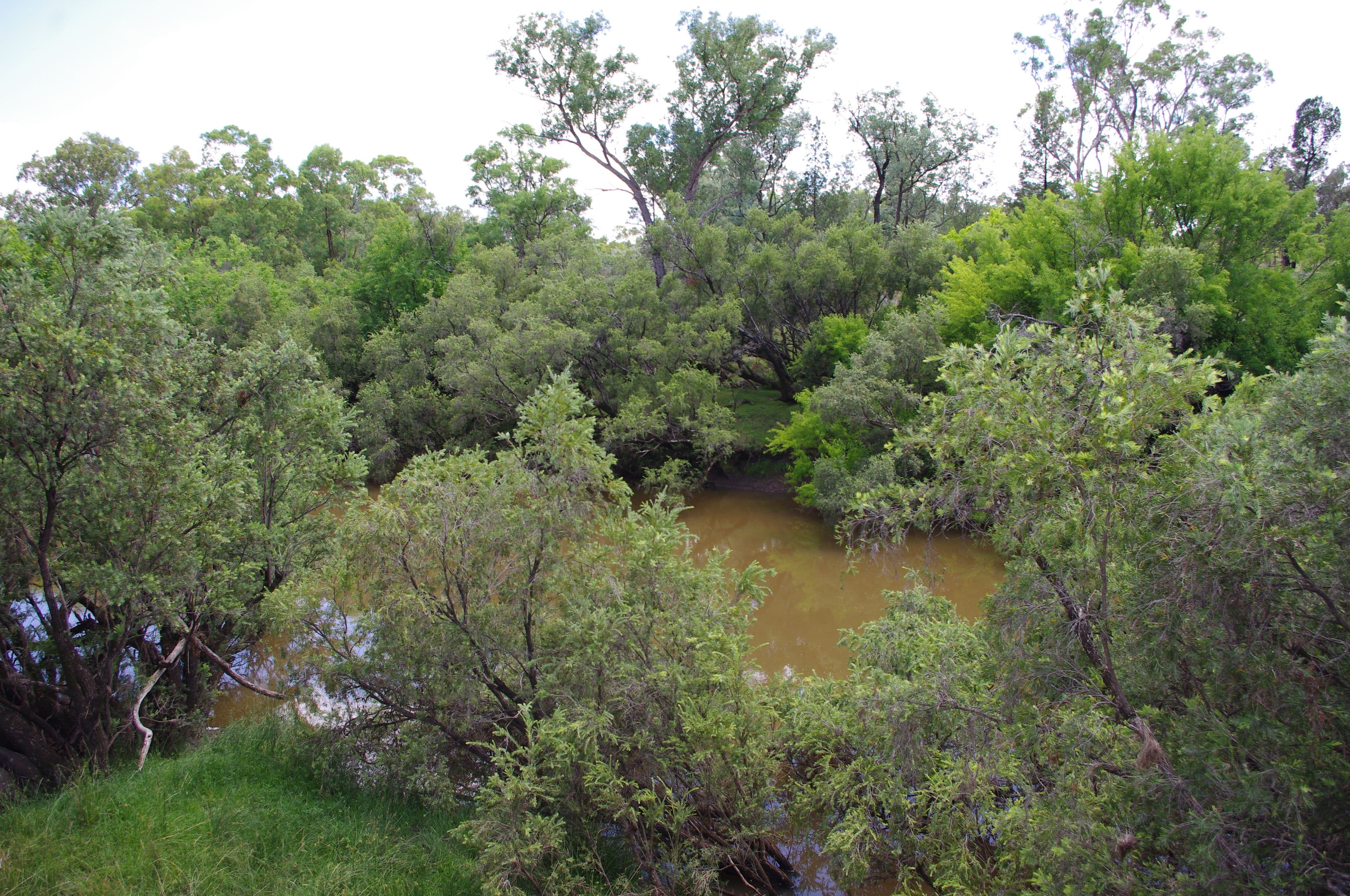 Inverell NSW 2360, Inverell - Thumbnail 8
