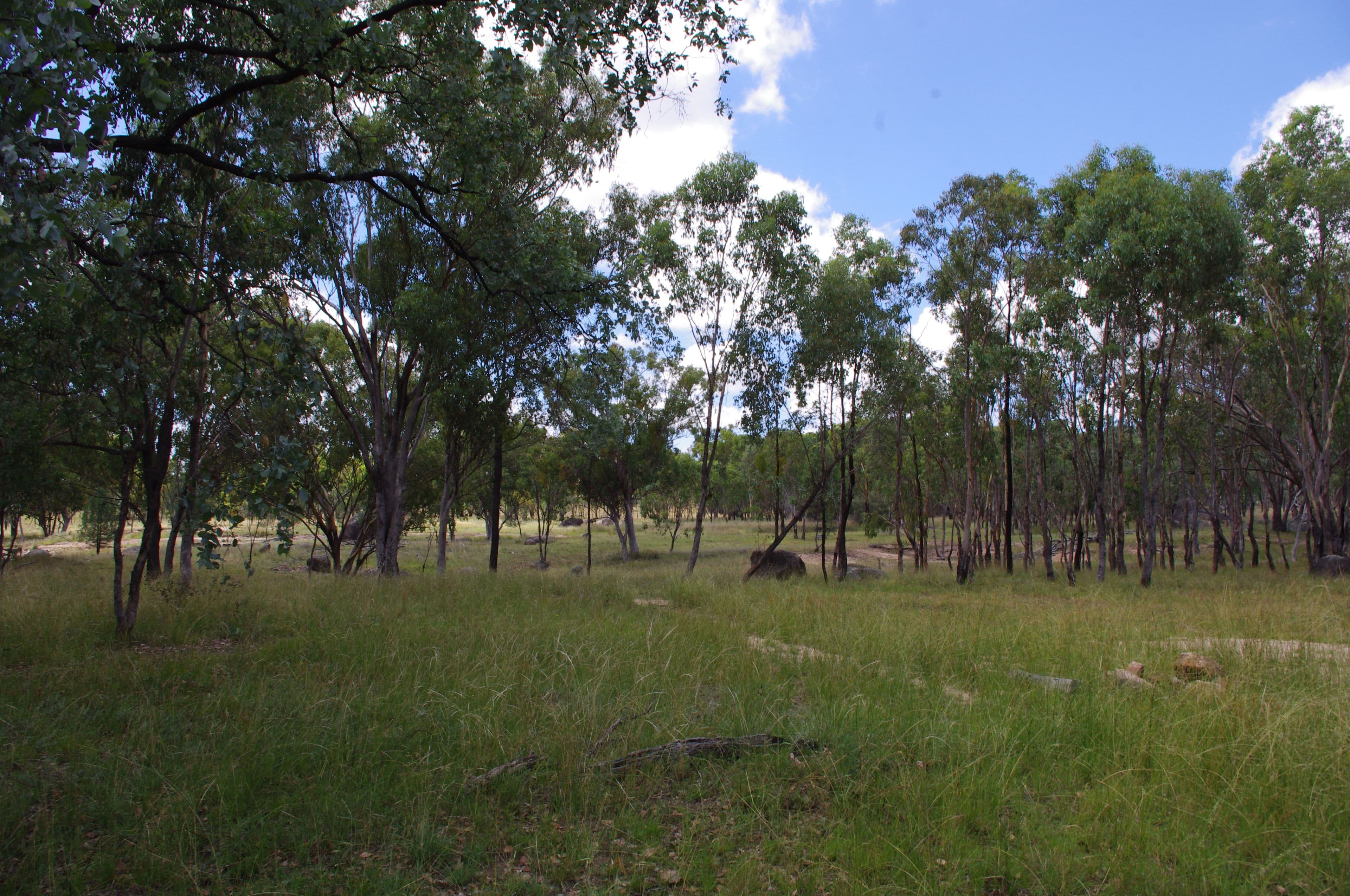 Inverell NSW 2360, Inverell - Thumbnail 5