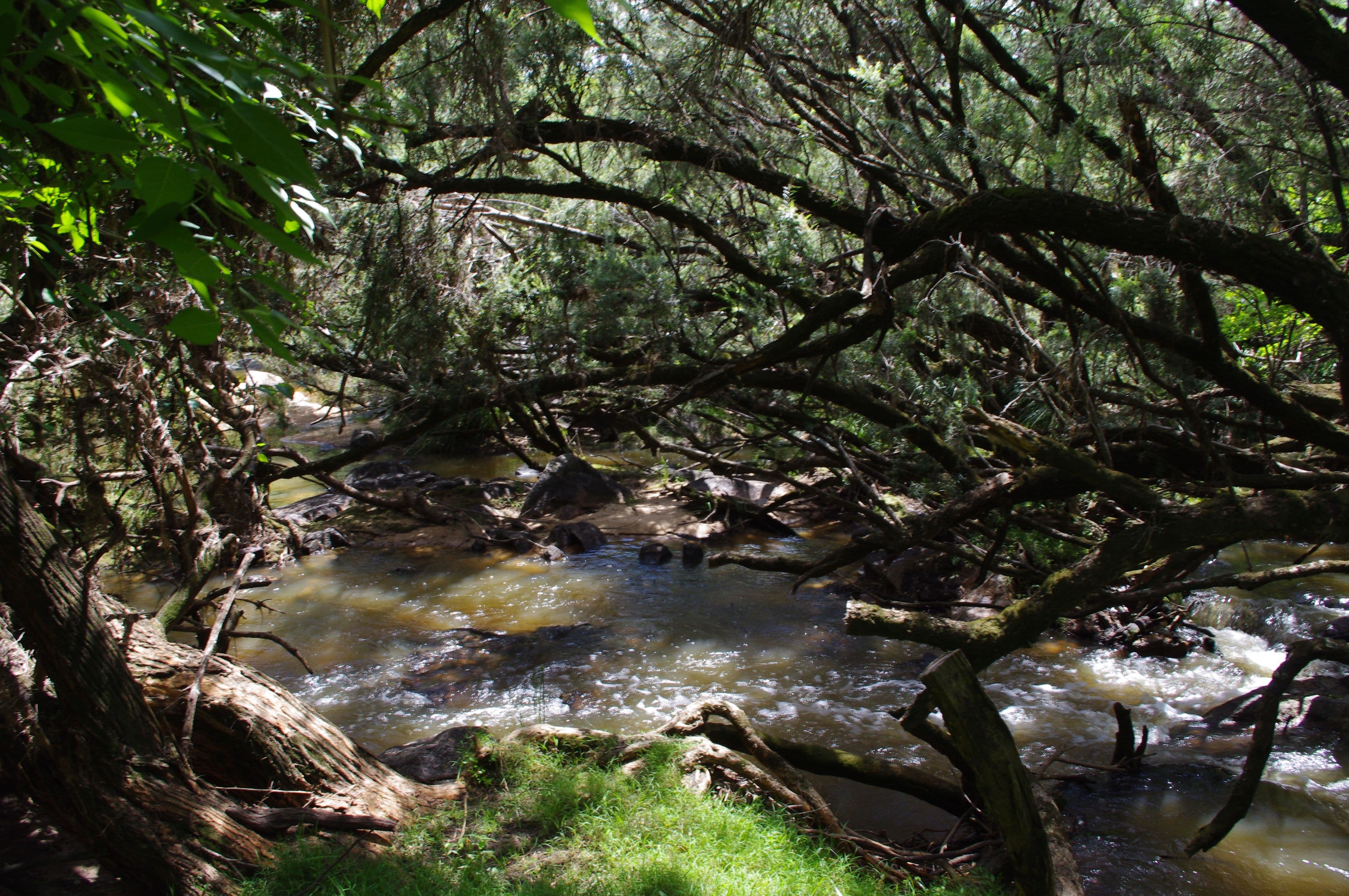 Inverell NSW 2360, Inverell - Thumbnail 3