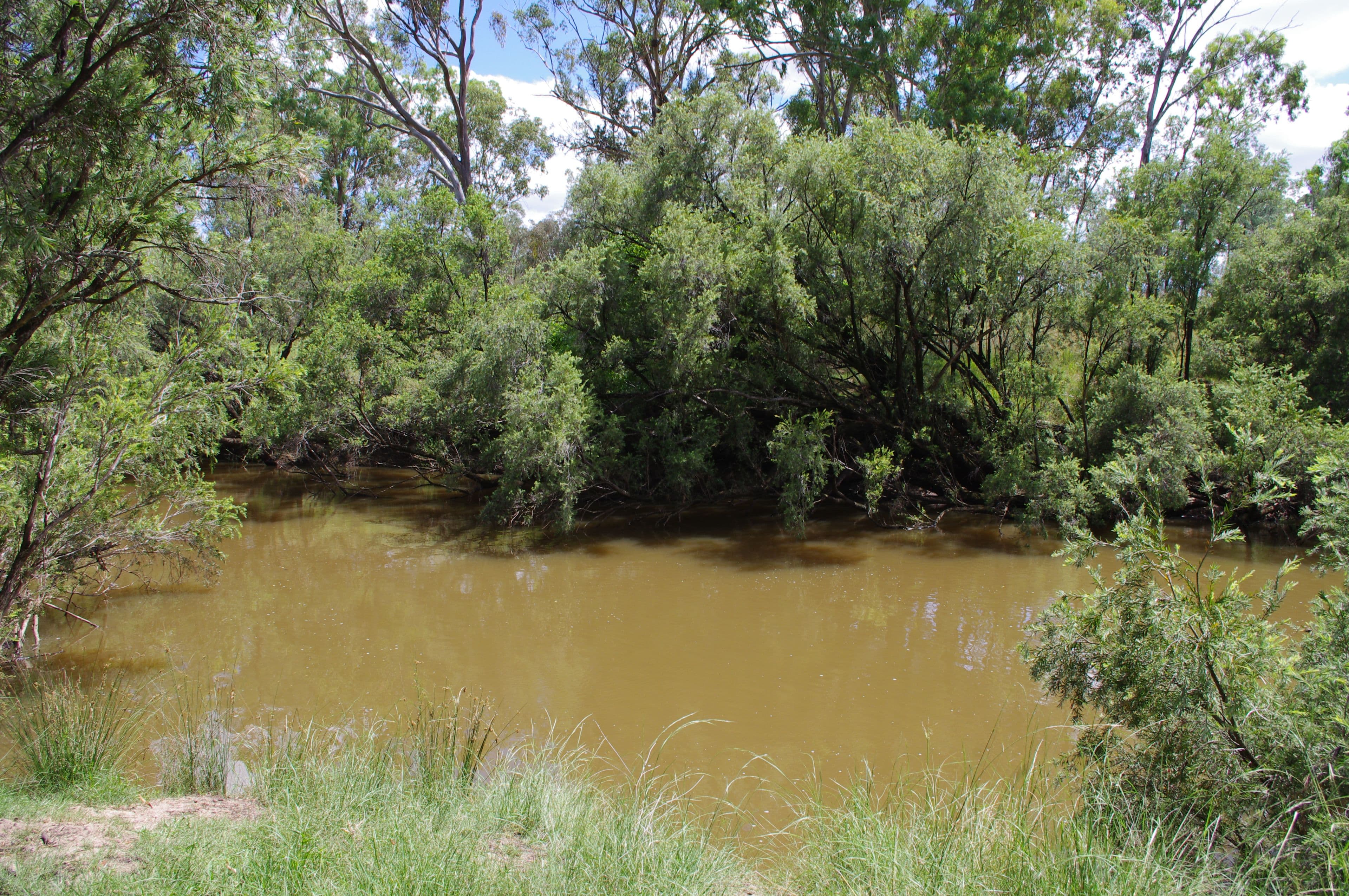 Inverell NSW 2360, Inverell - Thumbnail 4