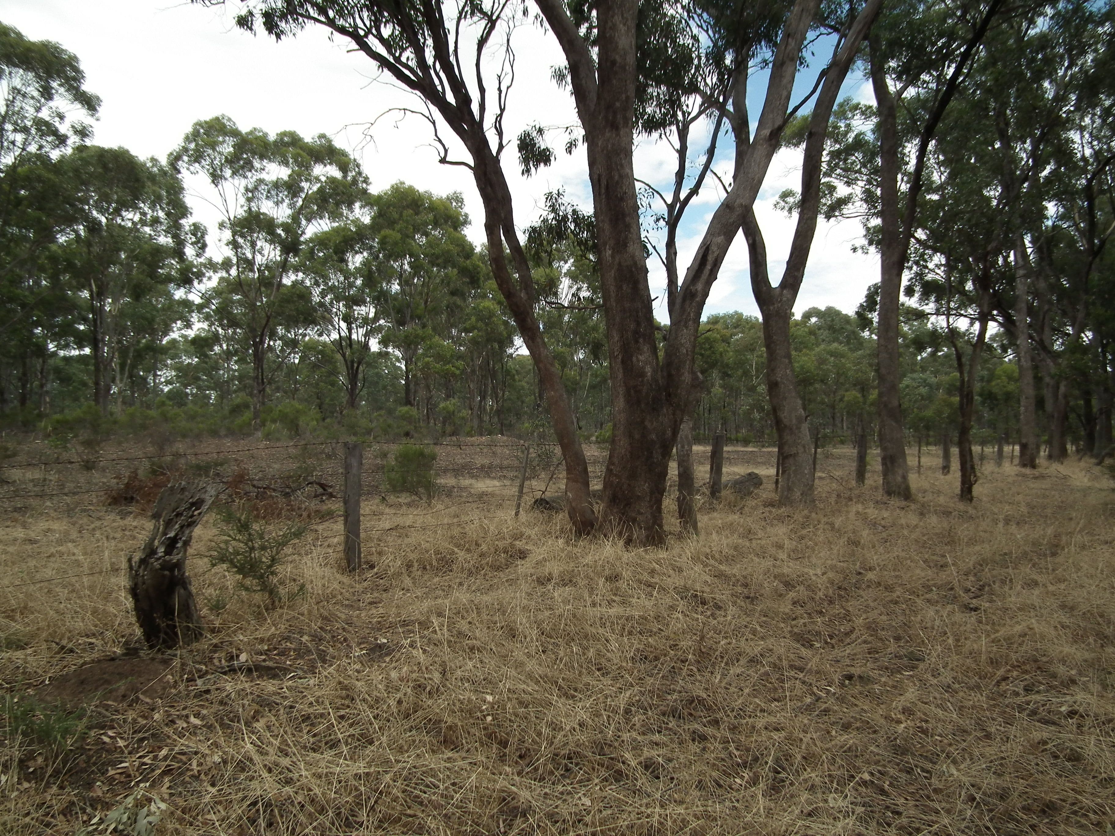 Lot 18 South Costerfield-Graytown Road, Graytown VIC 3608, Graytown - Image 1