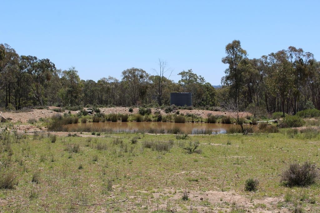 18325 Cunningham Highway, Karara QLD 4352, Karara - Image 1