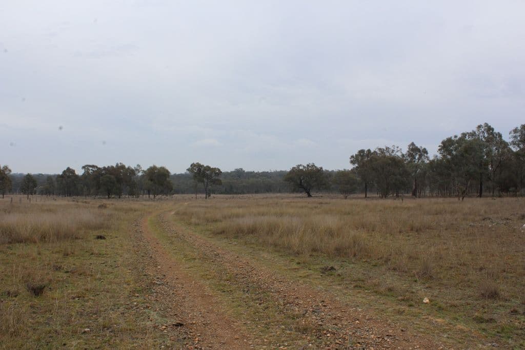 18325 Cunningham Highway, Karara QLD 4352, Karara - Thumbnail 2