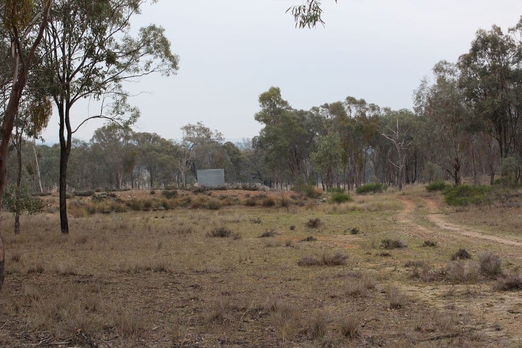 18325 Cunningham Highway, Karara QLD 4352, Karara - Thumbnail 3