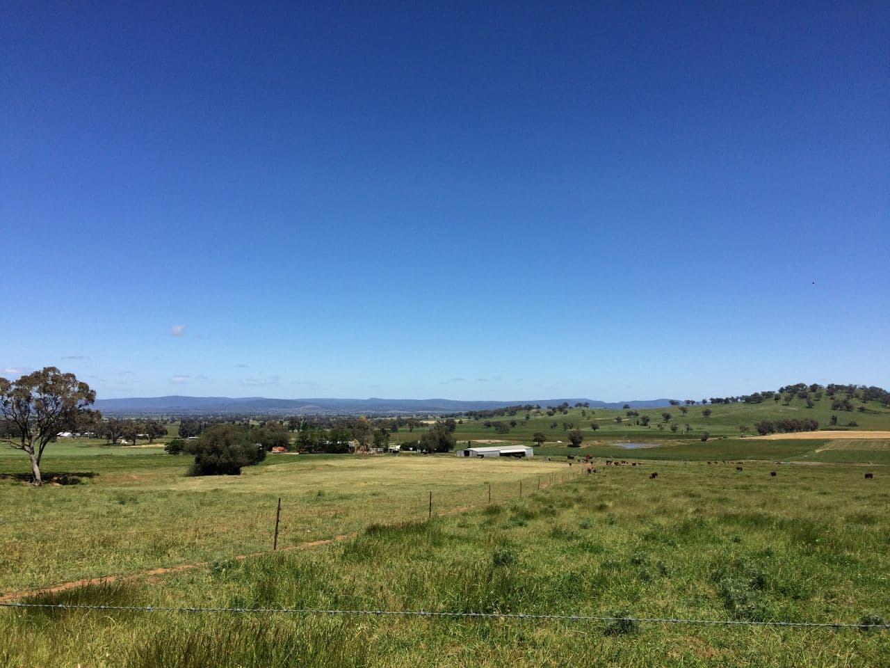 2006 Canowindra Road, Canowindra NSW 2804, Canowindra - Thumbnail 7