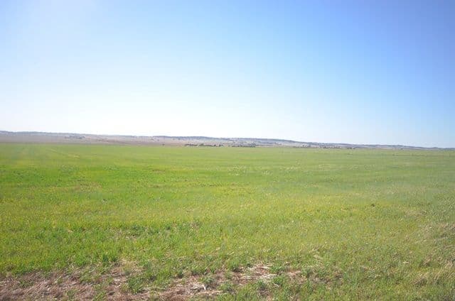"Hogbens" Sings Road, MANOORA SA 5414, Manoora - Thumbnail 7