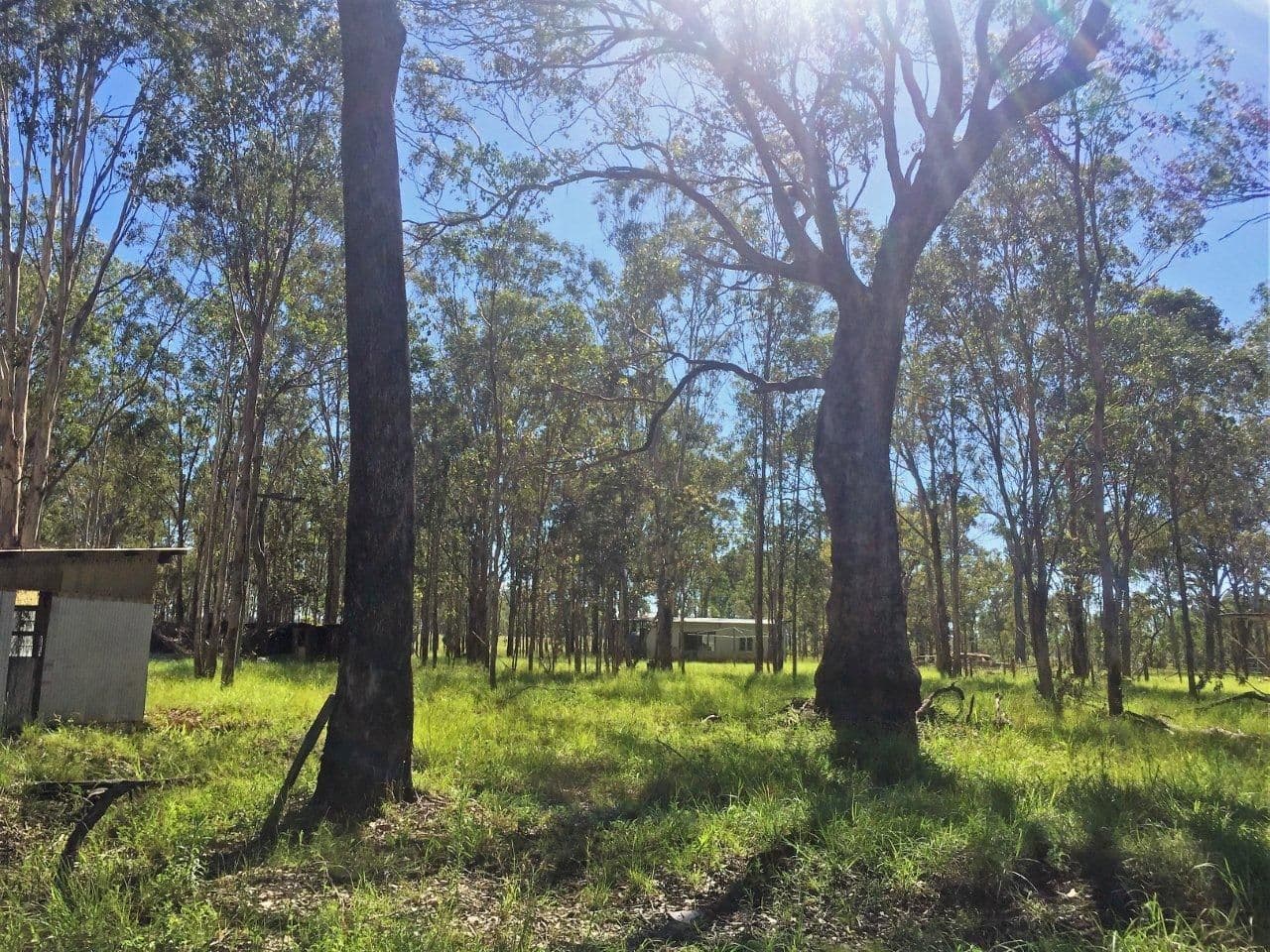 Kaban QLD 4888, Kaban - Thumbnail 7