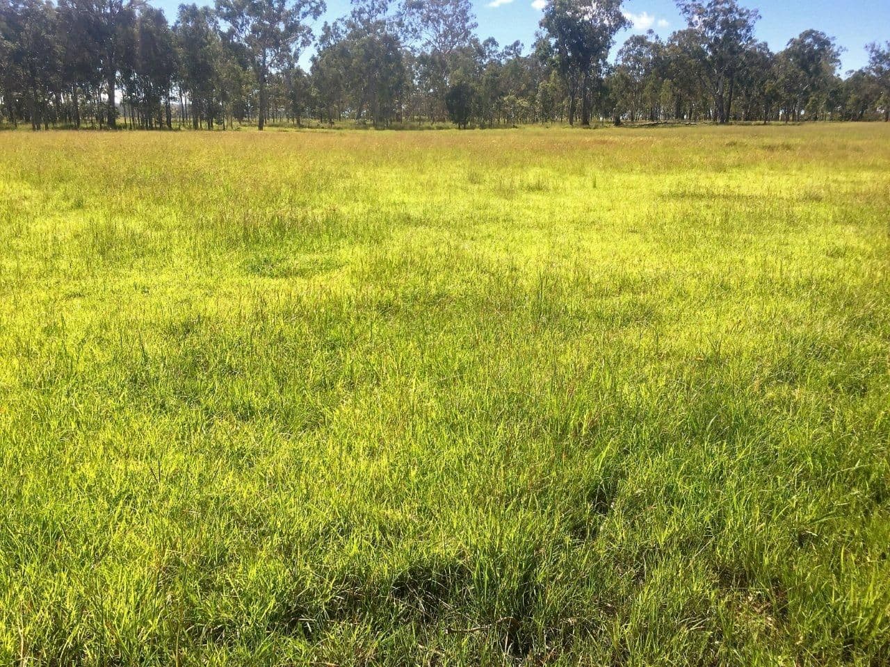 Kaban QLD 4888, Kaban - Thumbnail 8