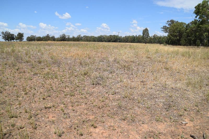 123 Craigs Lane, Gilgandra NSW 2827, Gilgandra - Thumbnail 5
