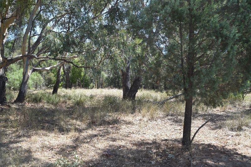 123 Craigs Lane, Gilgandra NSW 2827, Gilgandra - Thumbnail 3