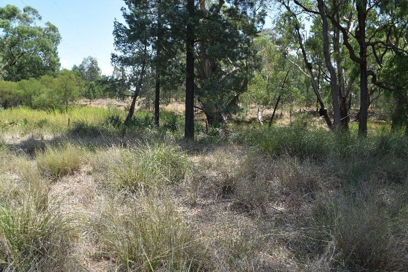 123 Craigs Lane, Gilgandra NSW 2827, Gilgandra - Thumbnail 8