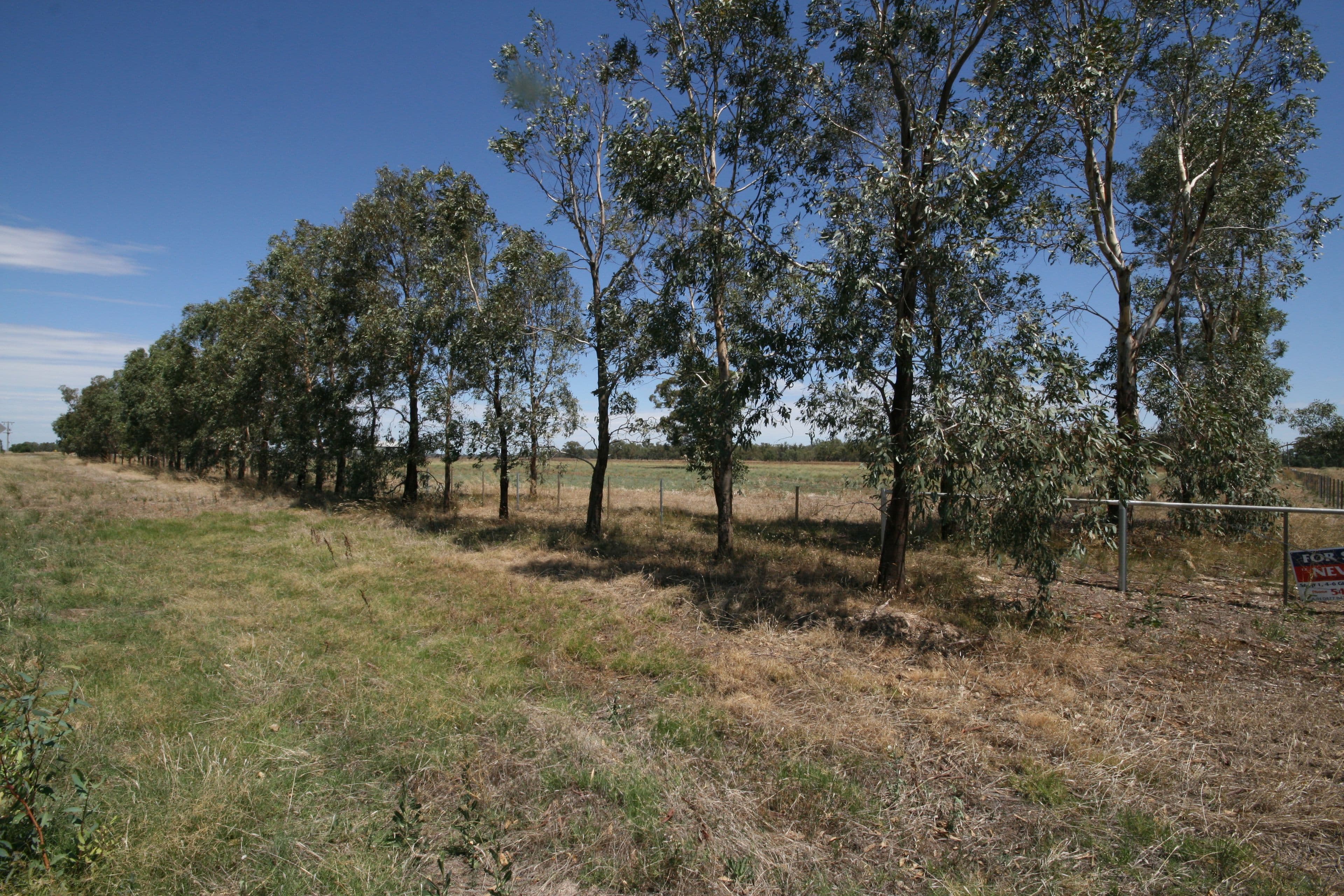 Lot 1 921 Burgoine Road, Strathallan VIC 3622, Strathallan - Thumbnail 6