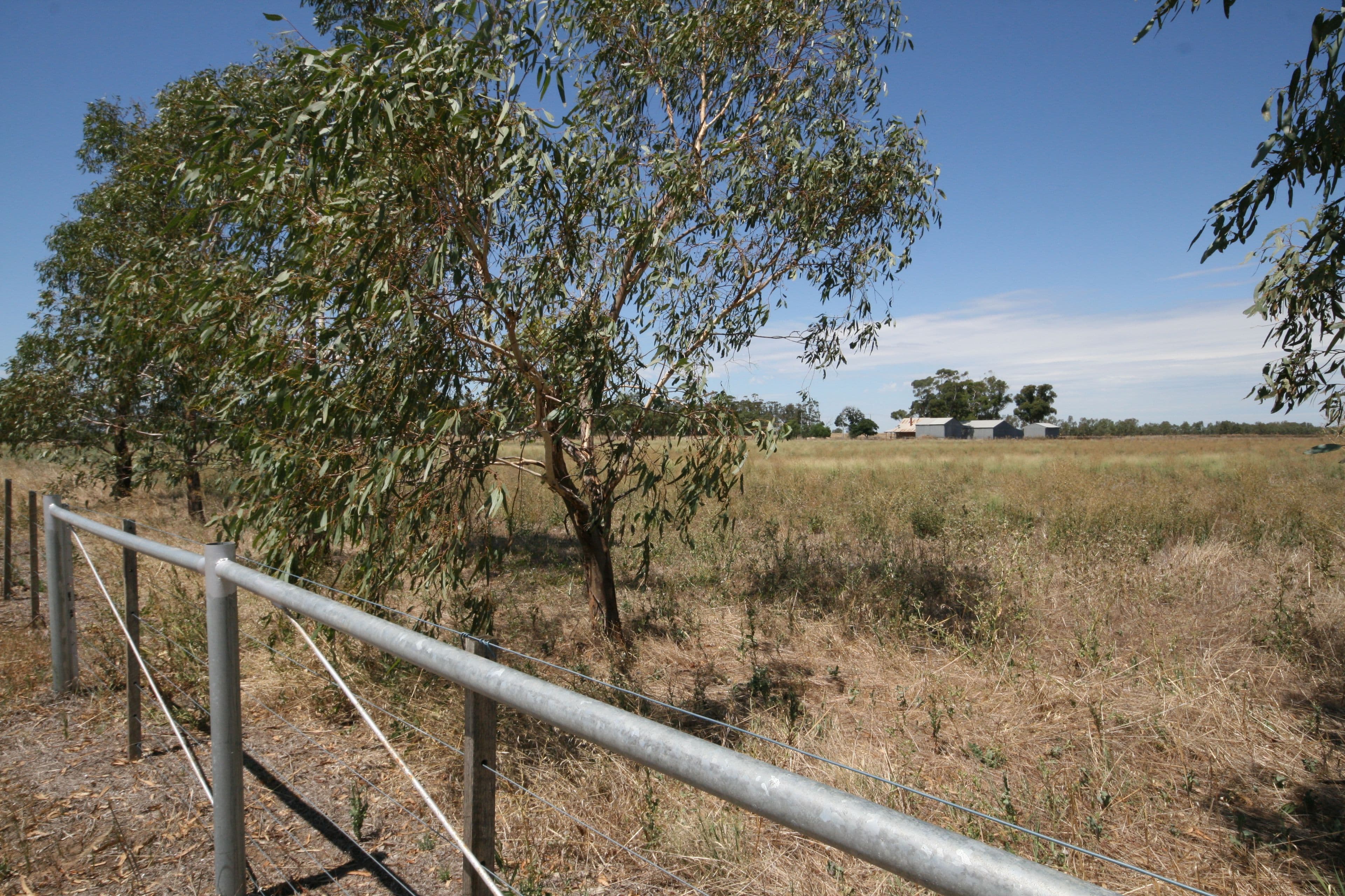 Lot 1 921 Burgoine Road, Strathallan VIC 3622, Strathallan - Thumbnail 4