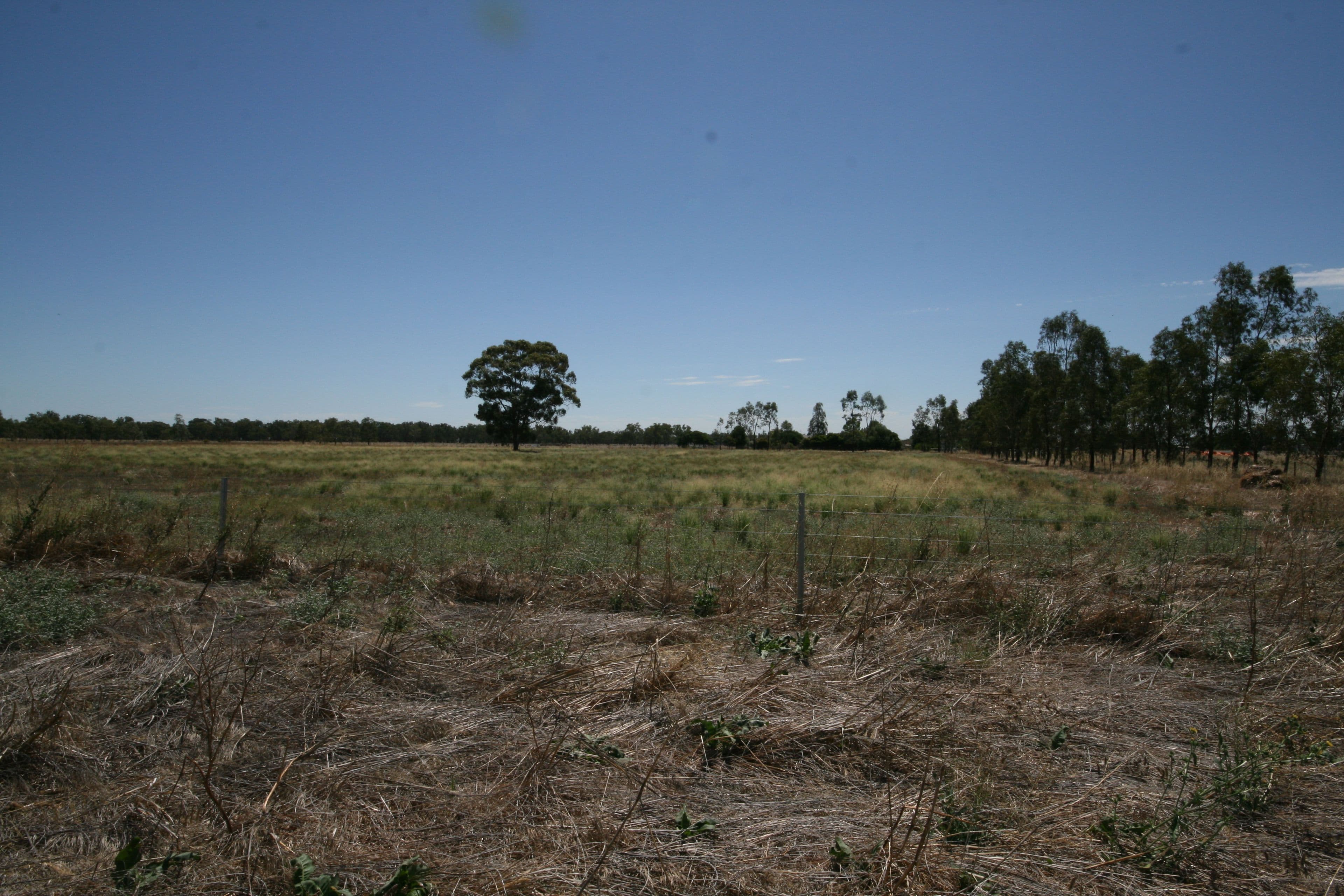 Lot 1 921 Burgoine Road, Strathallan VIC 3622, Strathallan - Thumbnail 8