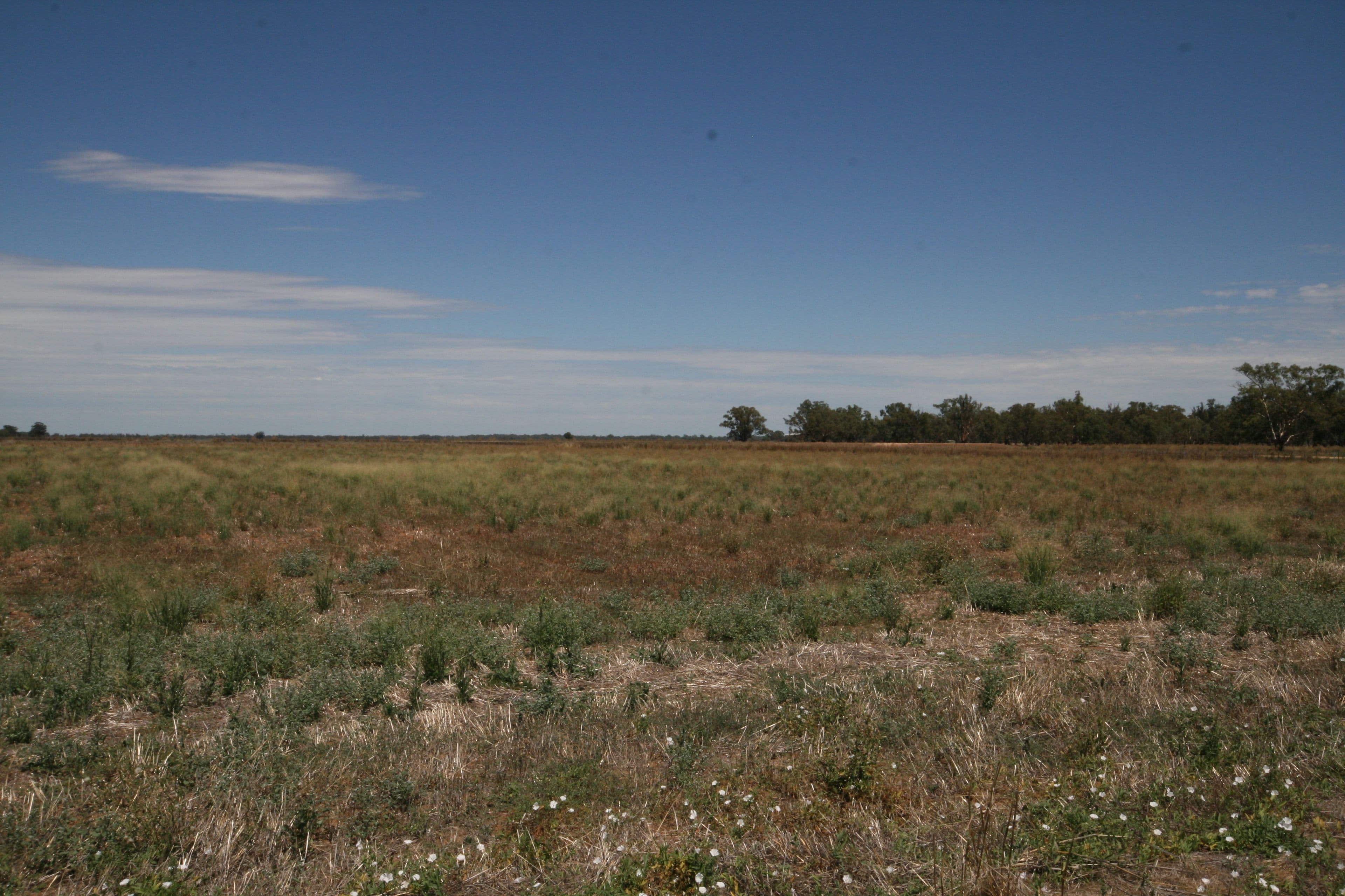 Lot 1 921 Burgoine Road, Strathallan VIC 3622, Strathallan - Thumbnail 3
