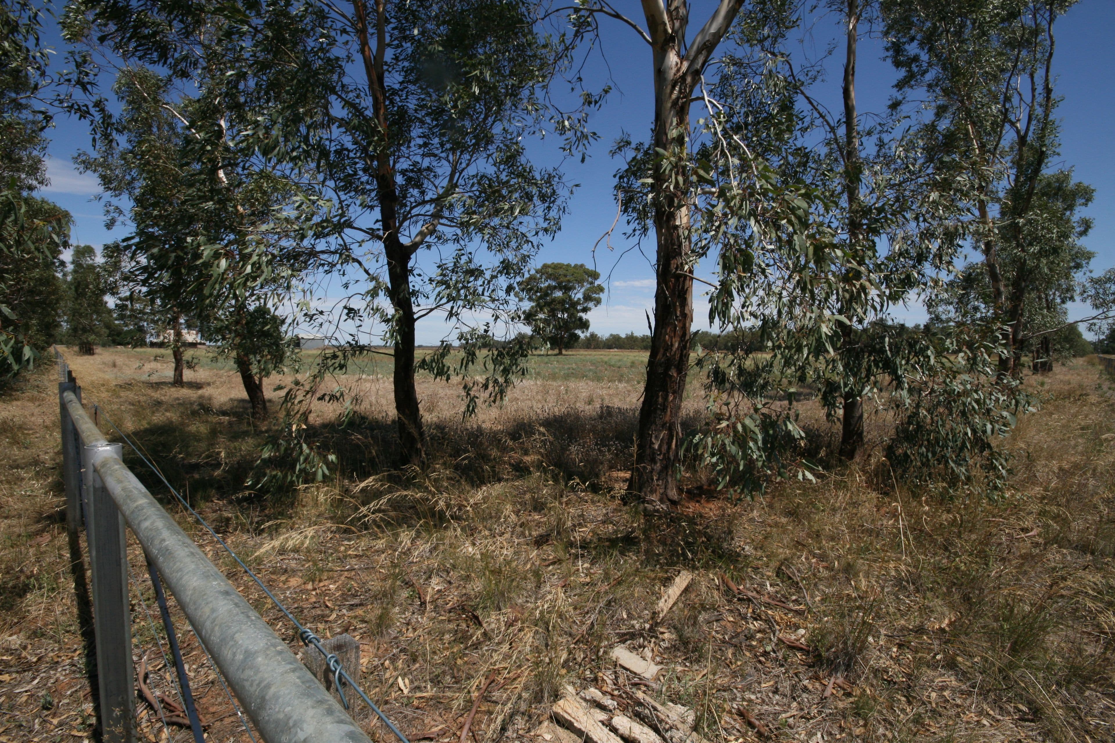 Lot 1 921 Burgoine Road, Strathallan VIC 3622, Strathallan - Thumbnail 7