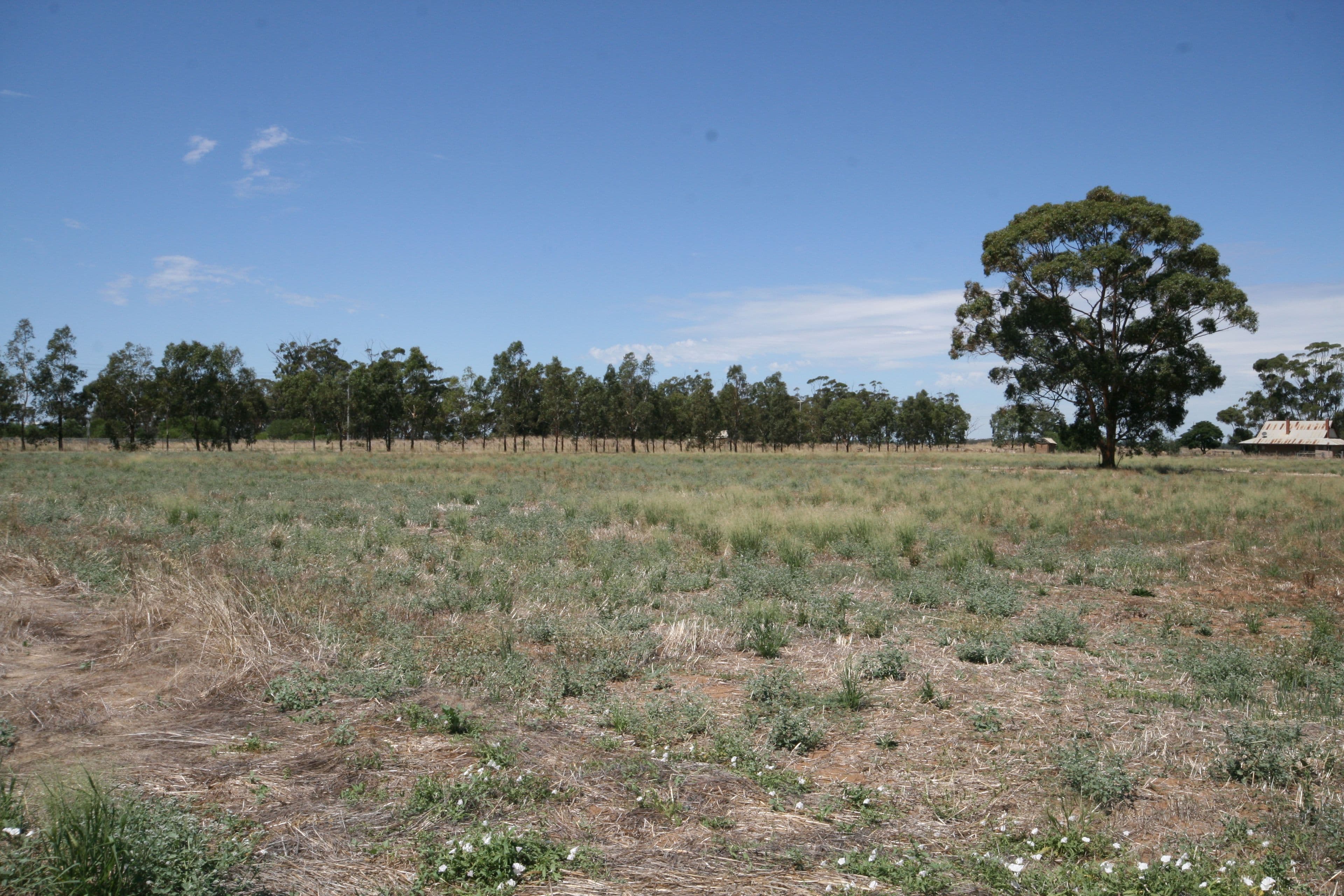 Lot 1 921 Burgoine Road, Strathallan VIC 3622, Strathallan - Image 1