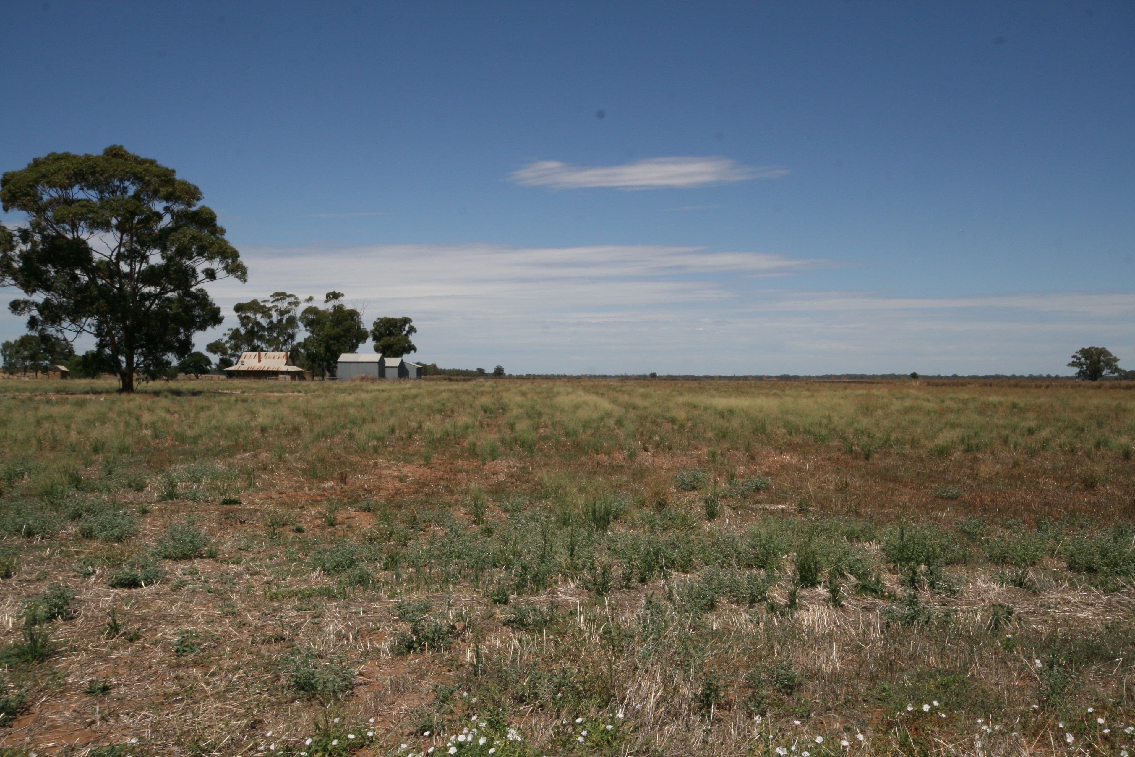 Lot 1 921 Burgoine Road, Strathallan VIC 3622, Strathallan - Thumbnail 2