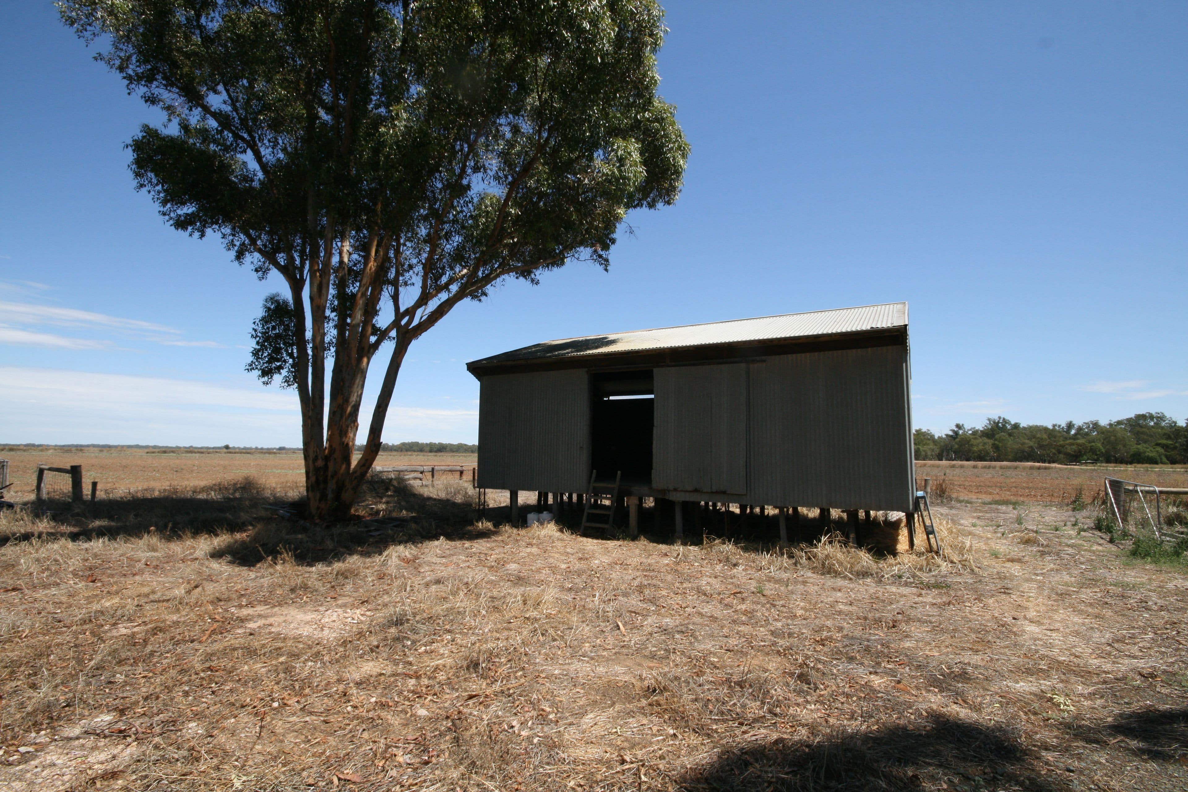 Lot 3 920 Burgoine Road, Strathallan VIC 3622, Strathallan - Thumbnail 5