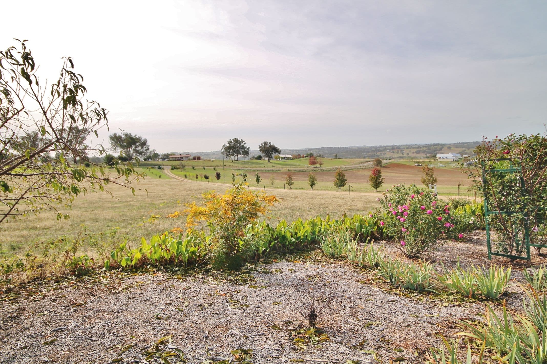 245 Arthur Street, Fairfield VIC 3078, Fairfield - Thumbnail 4
