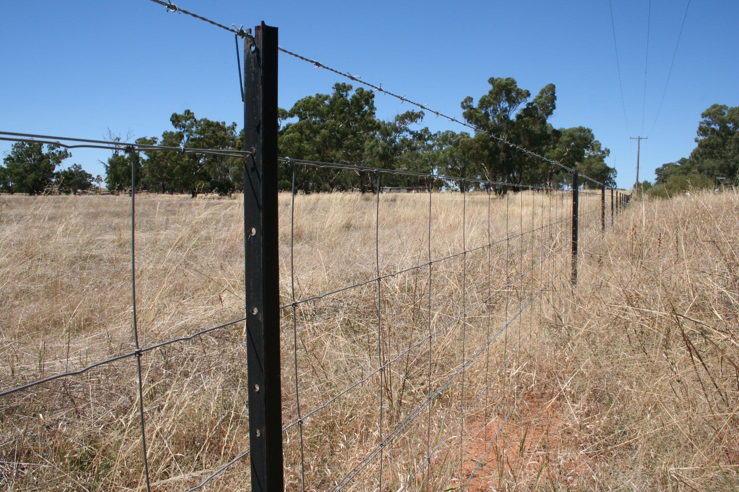 Marrar NSW 2652, Marrar - Thumbnail 5