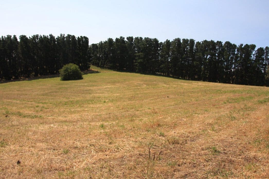 Lot 64 Gould Road, Mount Barker Springs SA 5251, Mount Barker Springs - Thumbnail 3