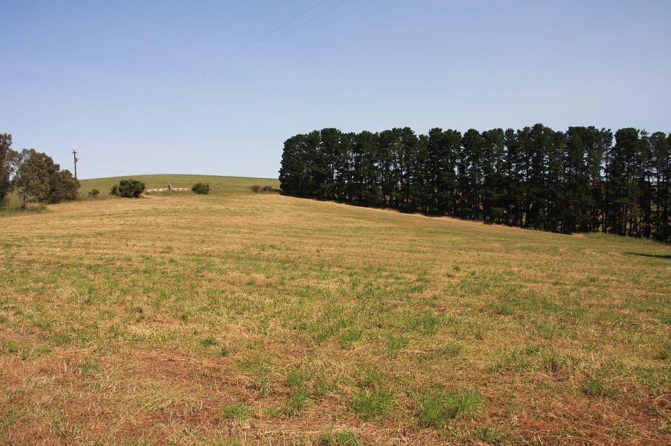 Lot 64 Gould Road, Mount Barker Springs SA 5251, Mount Barker Springs - Thumbnail 4
