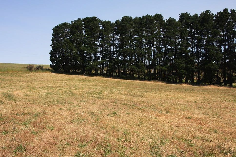 Lot 64 Gould Road, Mount Barker Springs SA 5251, Mount Barker Springs - Thumbnail 6