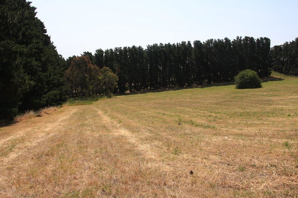 Lot 64 Gould Road, Mount Barker Springs SA 5251, Mount Barker Springs - Thumbnail 2
