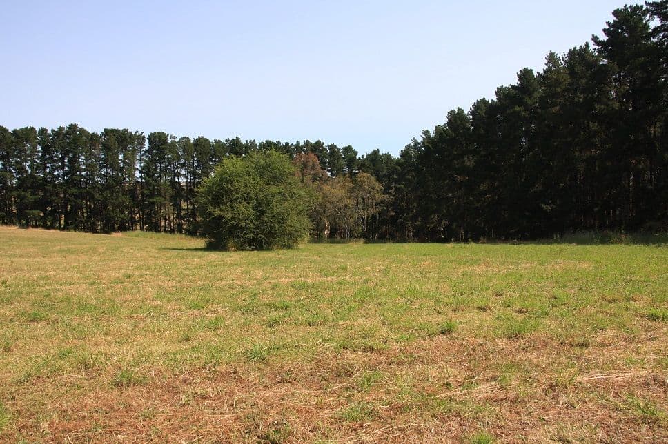 Lot 64 Gould Road, Mount Barker Springs SA 5251, Mount Barker Springs - Thumbnail 5