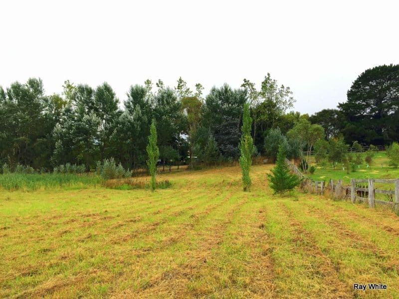 21 George Street, Majors Creek NSW 2622, Majors Creek - Thumbnail 6
