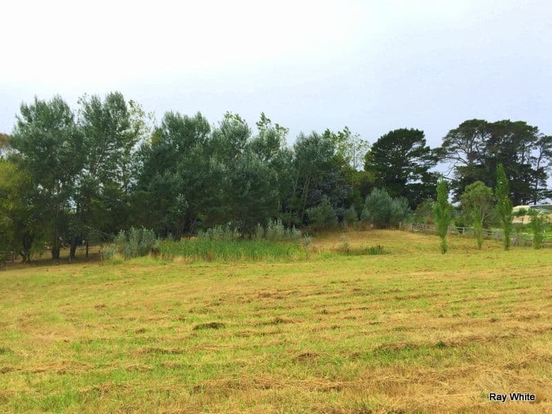 21 George Street, Majors Creek NSW 2622, Majors Creek - Thumbnail 3