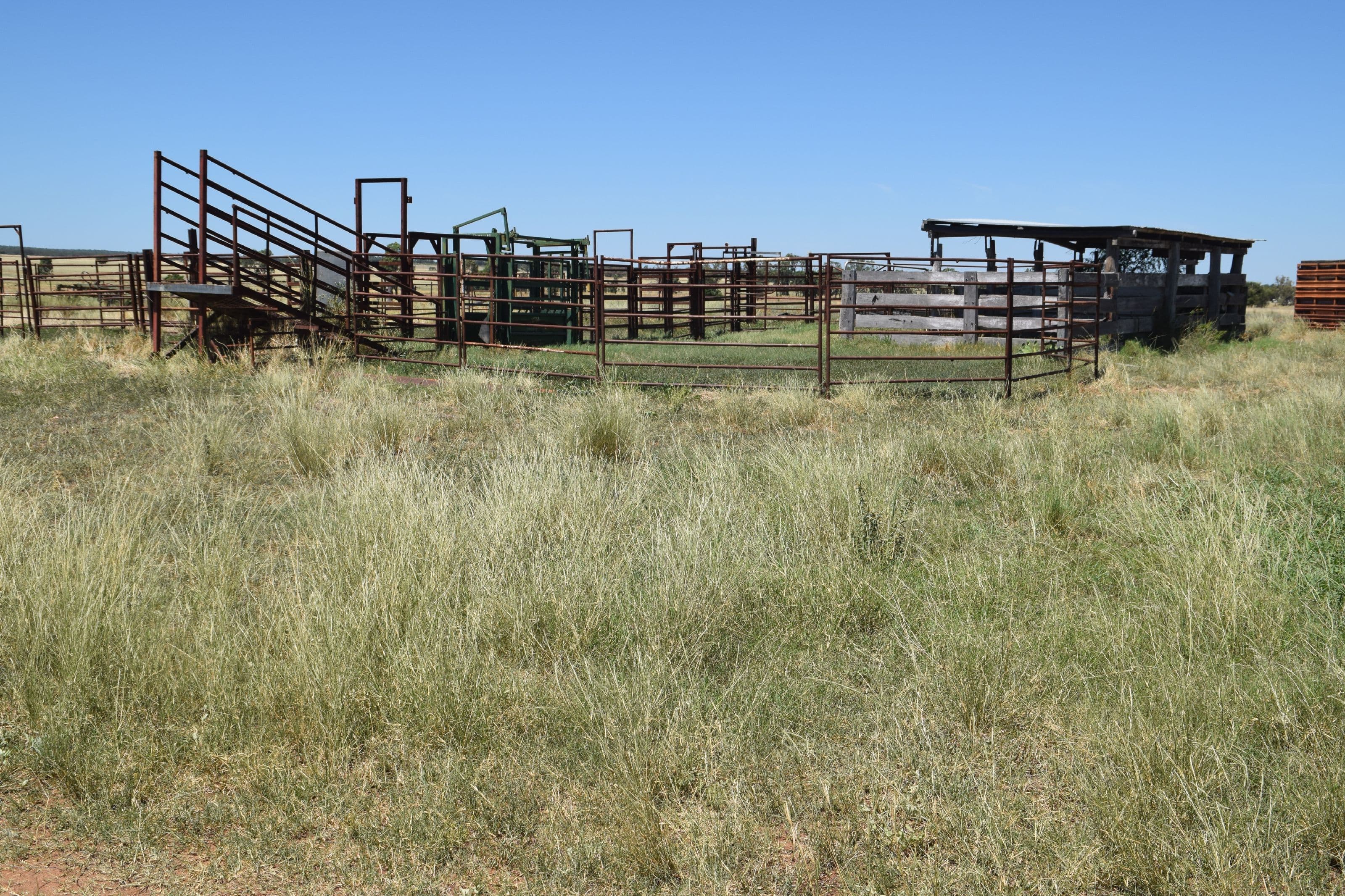 'Dilly Park' 24 Dilly Road, Biddon NSW 2827, Biddon - Thumbnail 2