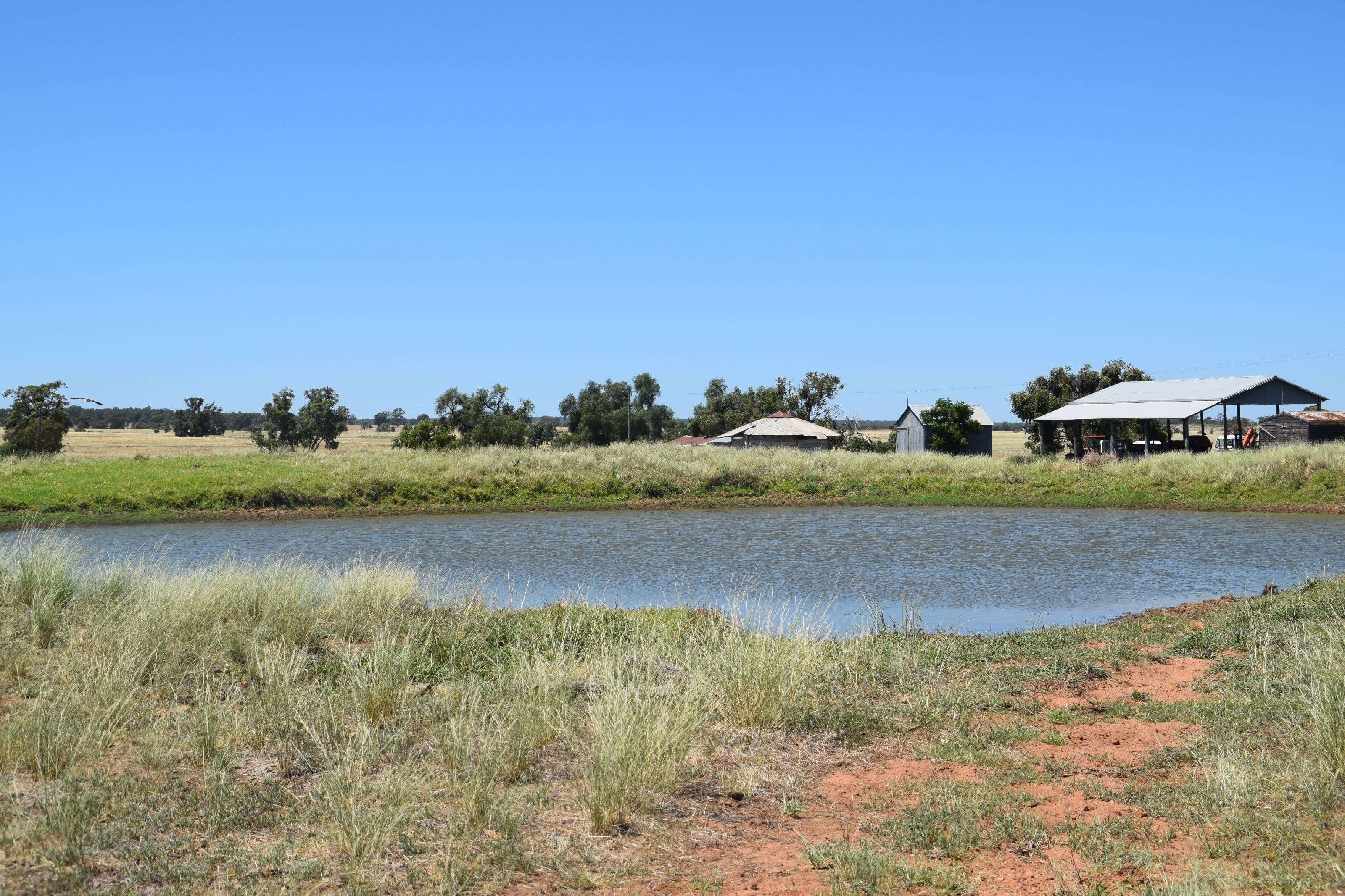 'Dilly Park' 24 Dilly Road, Biddon NSW 2827, Biddon - Thumbnail 3