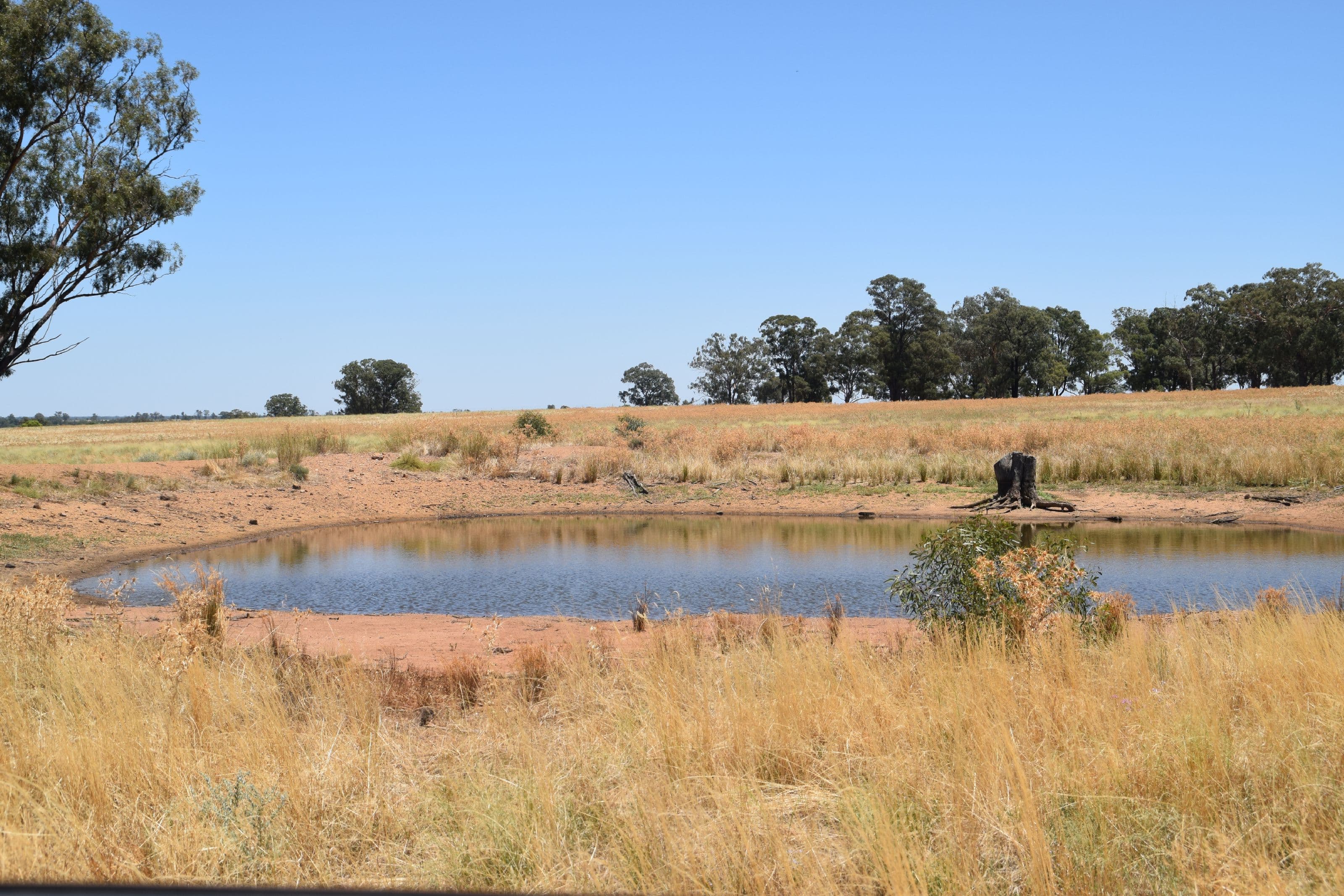 'Dilly Park' 24 Dilly Road, Biddon NSW 2827, Biddon - Thumbnail 5