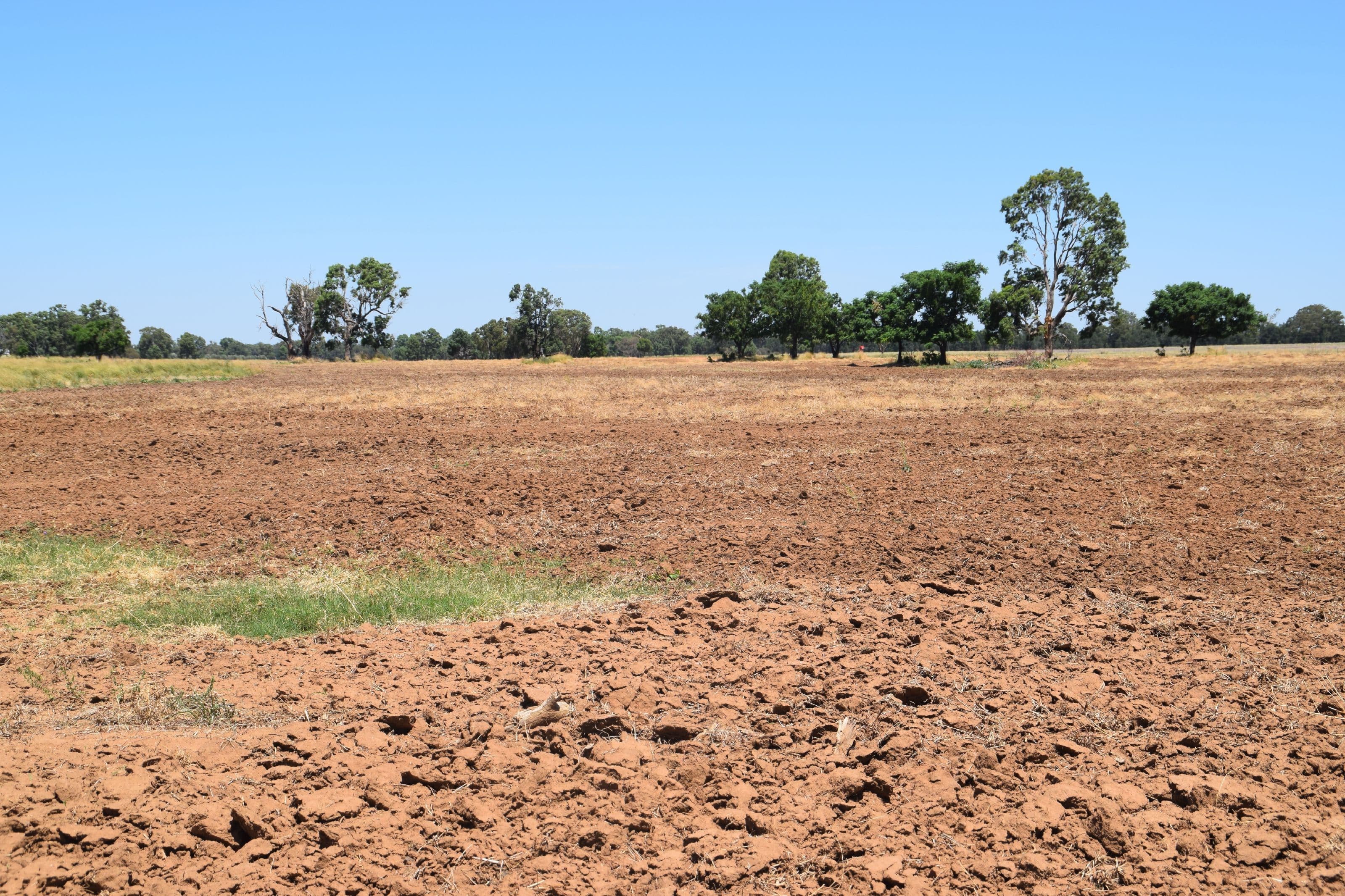 'Dilly Park' 24 Dilly Road, Biddon NSW 2827, Biddon - Thumbnail 4