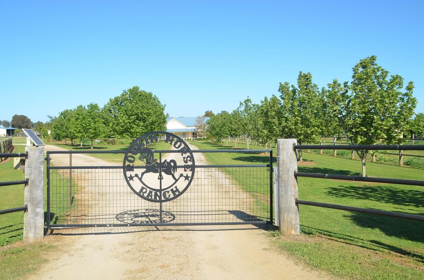 142 Country Road, Tamworth NSW 2340, Tamworth - Image 1