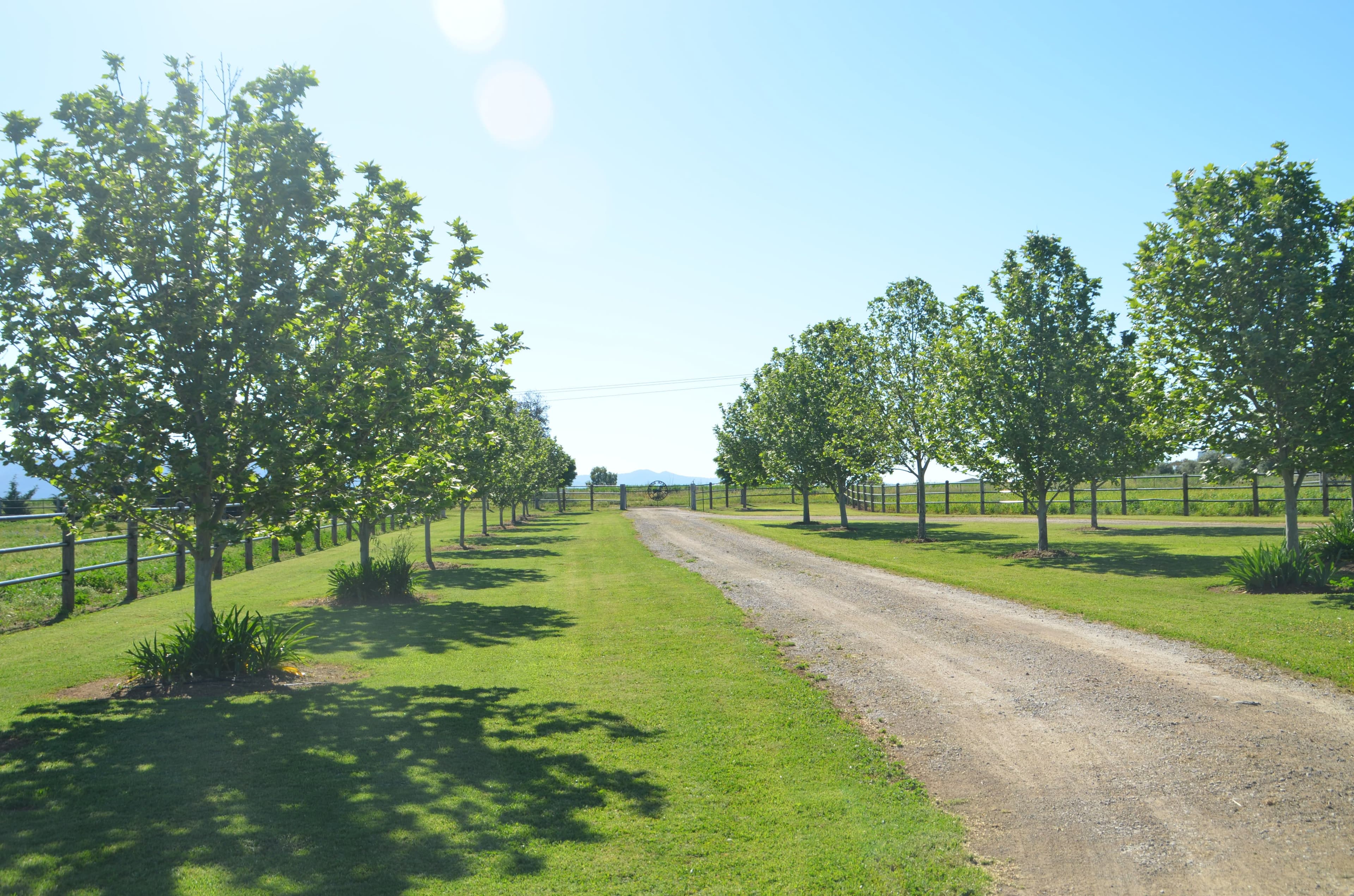 142 Country Road, Tamworth NSW 2340, Tamworth - Thumbnail 2