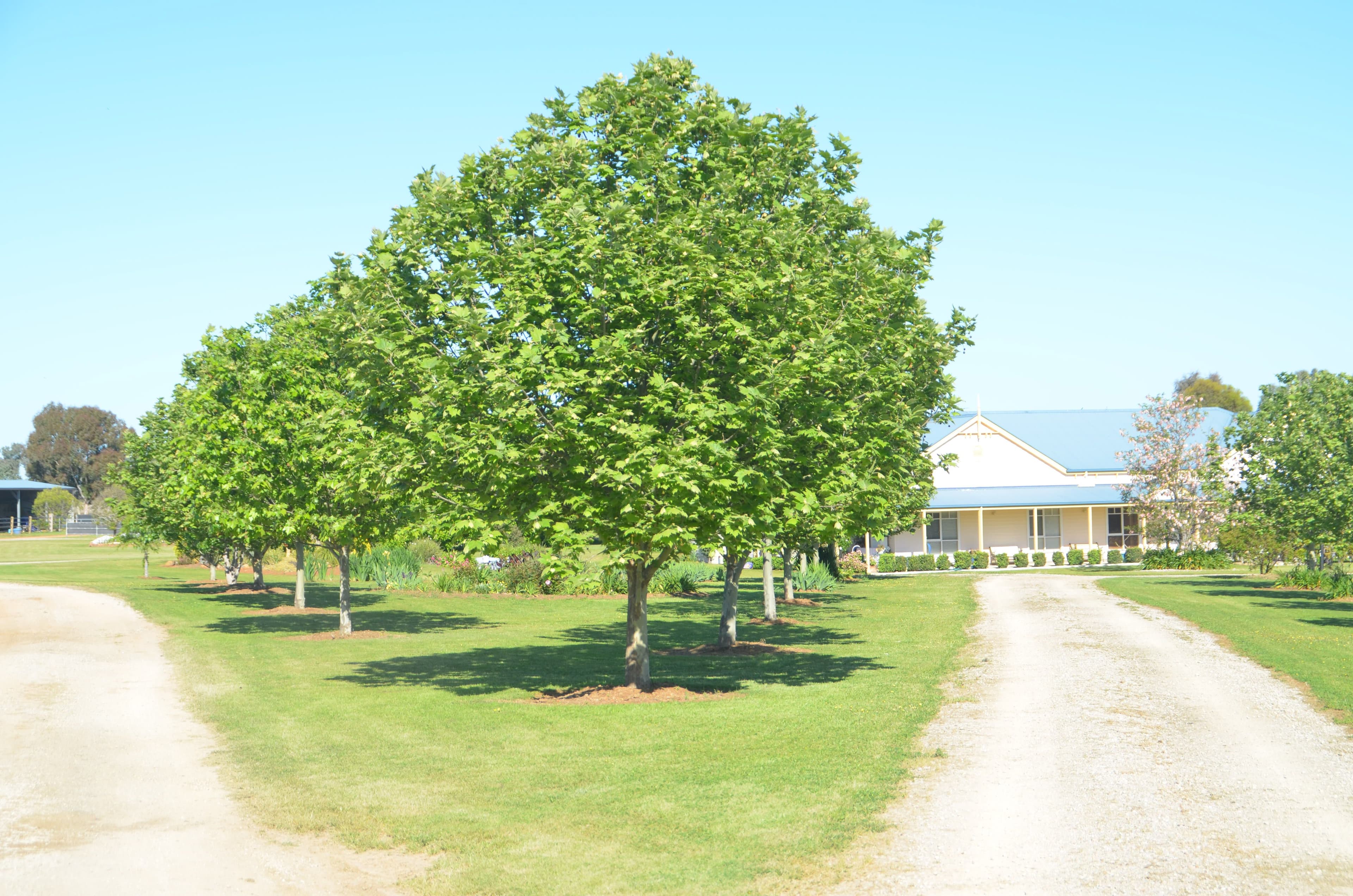 142 Country Road, Tamworth NSW 2340, Tamworth - Thumbnail 3