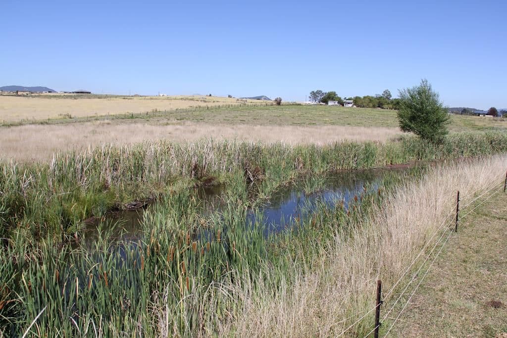 Lot 120 Bellevue Road, Tenterfield NSW 2372, Tenterfield - Thumbnail 5
