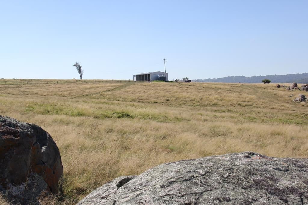 Lot 120 Bellevue Road, Tenterfield NSW 2372, Tenterfield - Image 1