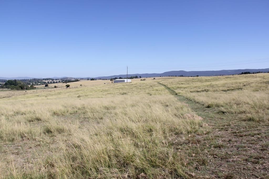 Lot 120 Bellevue Road, Tenterfield NSW 2372, Tenterfield - Thumbnail 3
