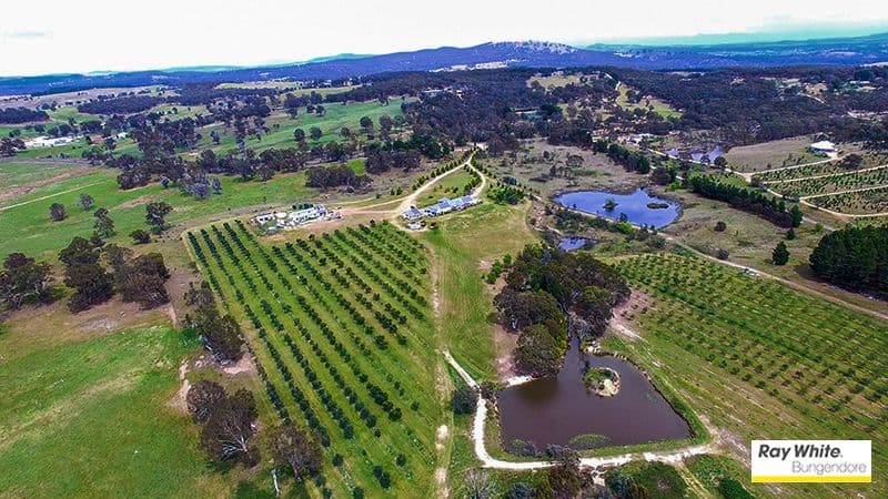 230 Shingle Hill Way, Bywong NSW 2621, Bywong - Image 1
