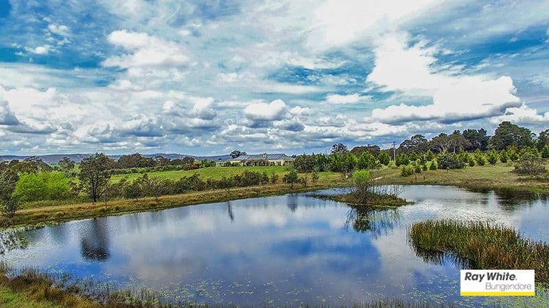 230 Shingle Hill Way, Bywong NSW 2621, Bywong - Thumbnail 7