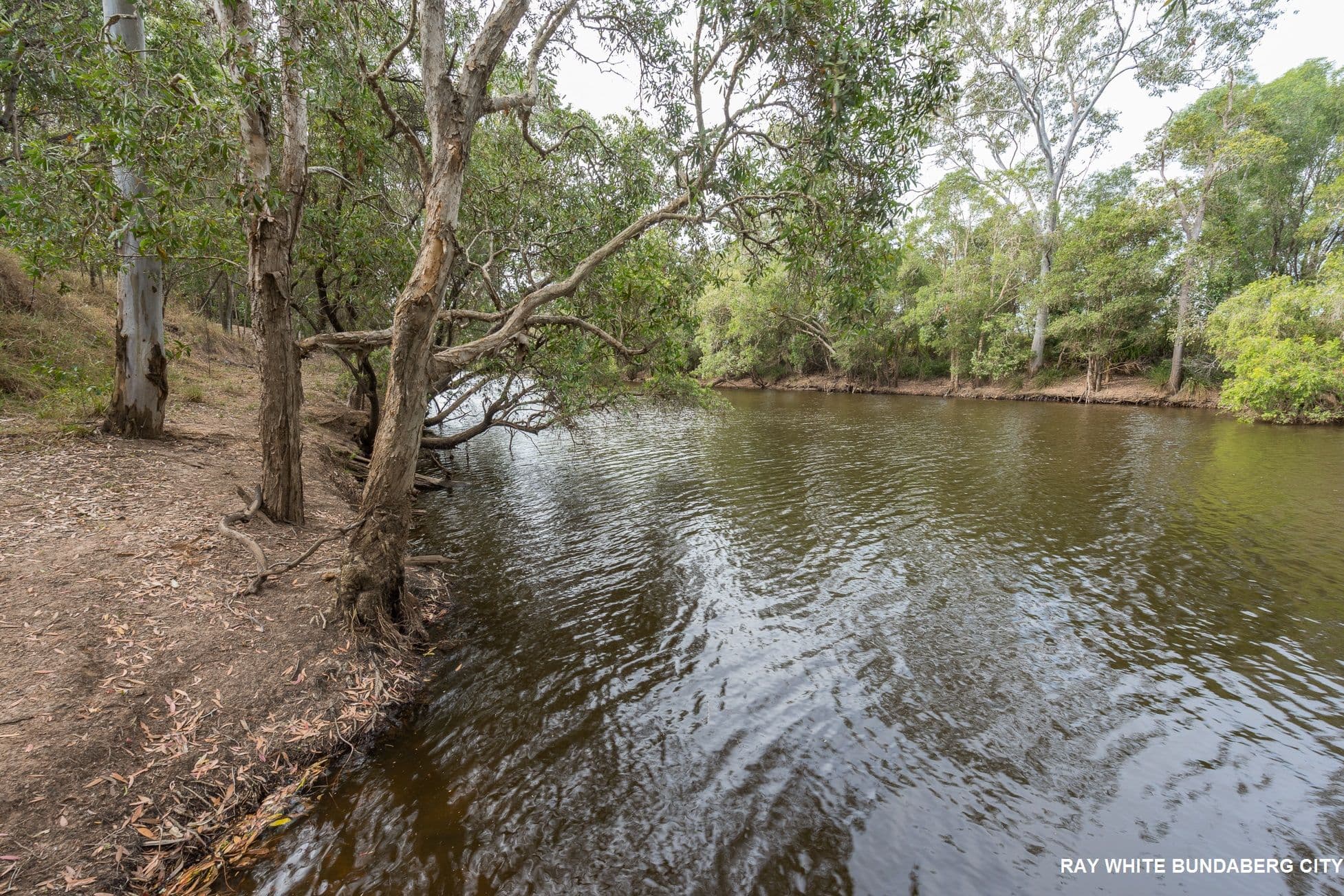 174 Blairs Road, Sharon QLD 4670, Sharon - Thumbnail 4