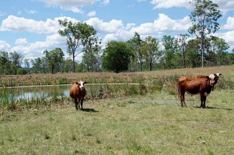 Lot 1 Muna-Miva Road, Miva QLD 4570, Miva - Thumbnail 2