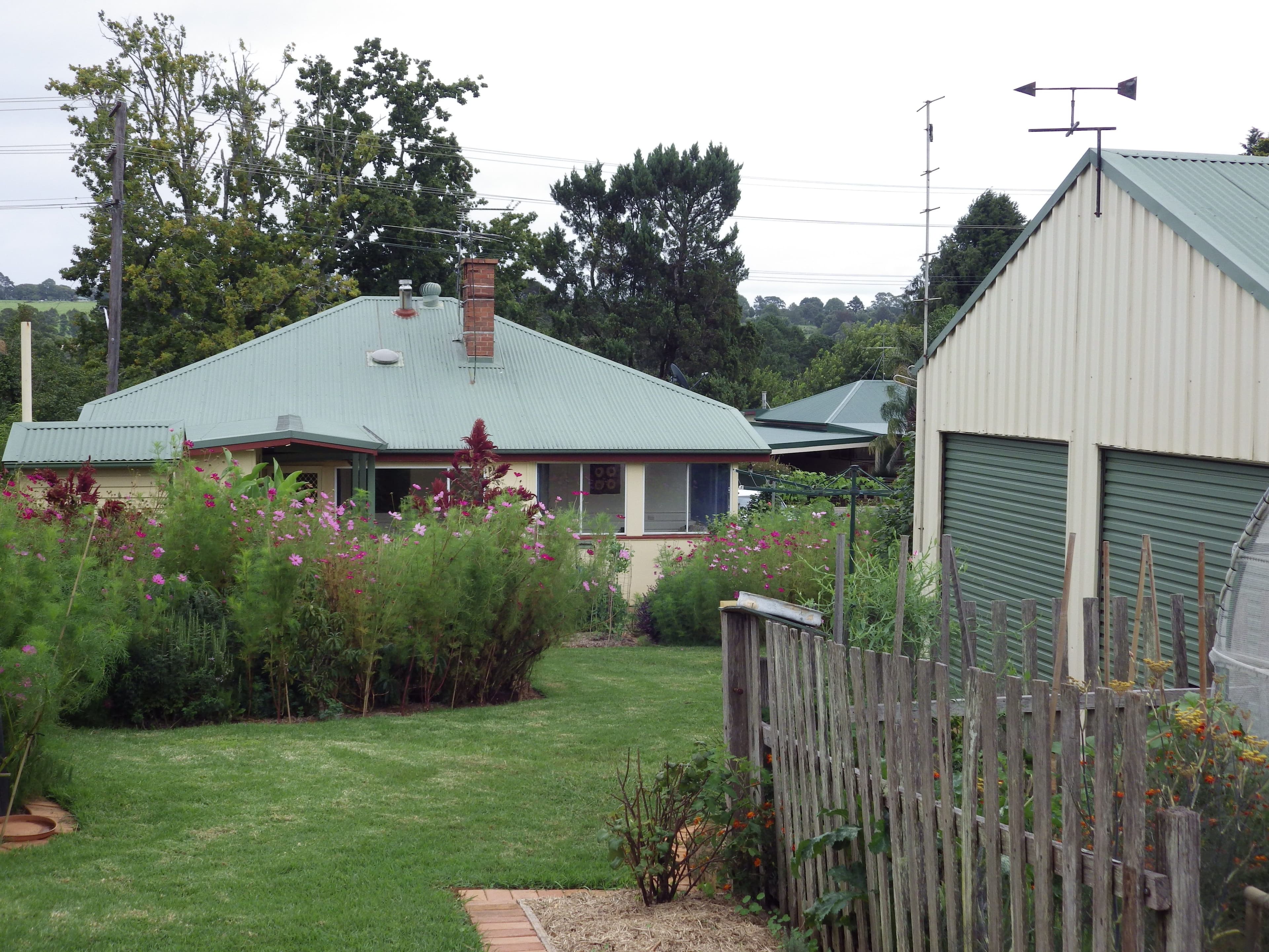 9 Vine Street, Dorrigo - Image 1