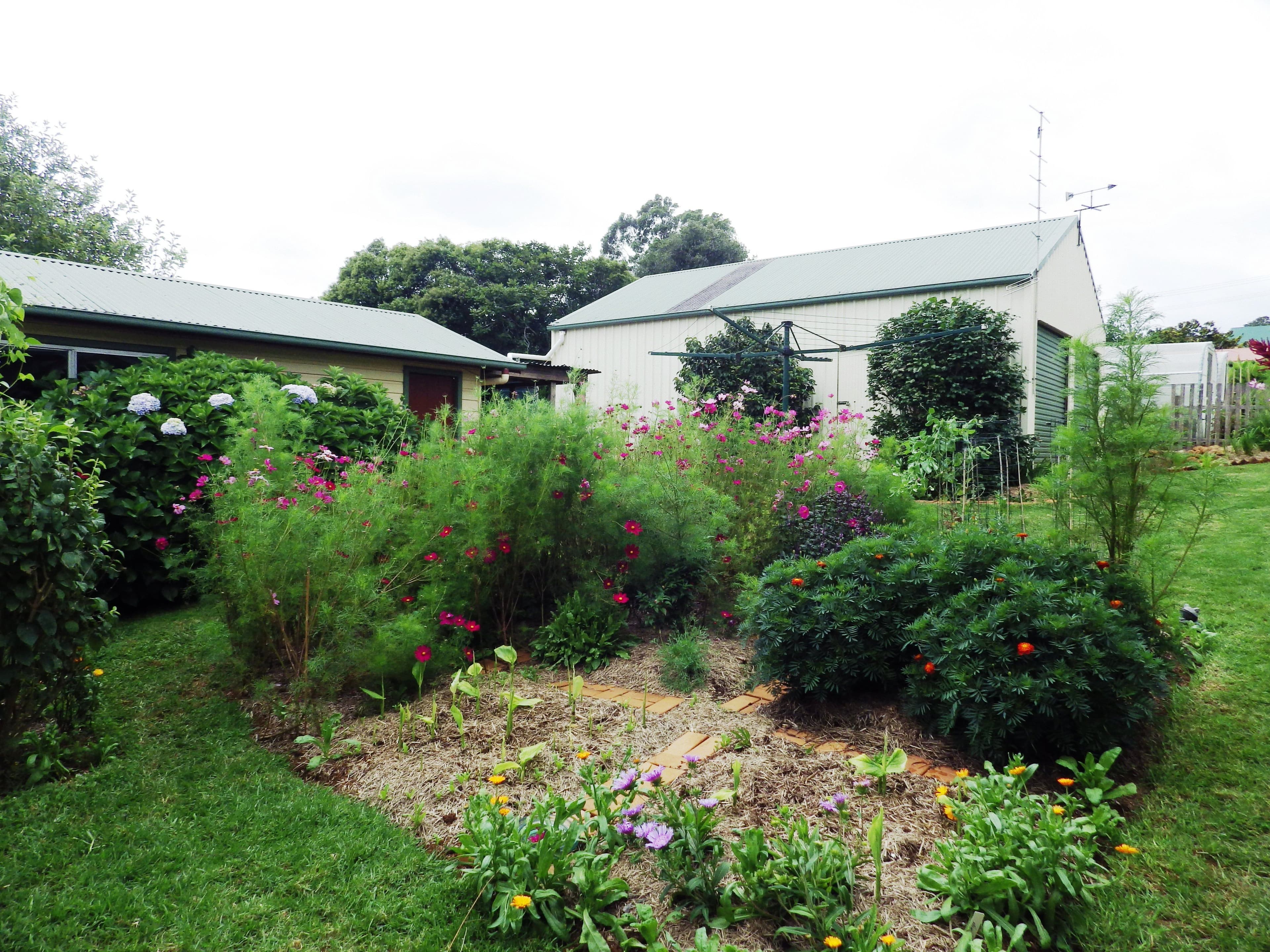 9 Vine Street, Dorrigo - Thumbnail 5