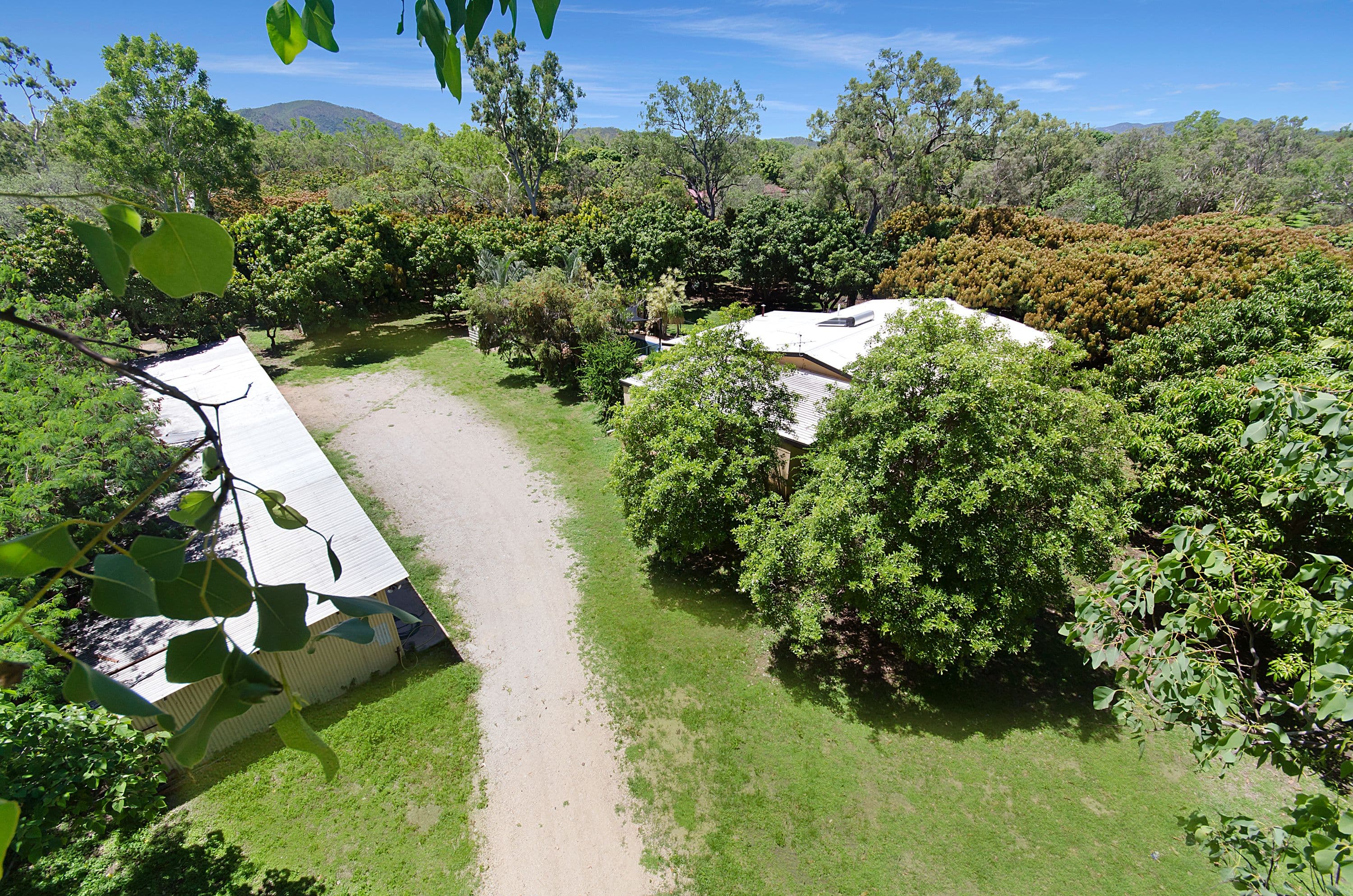 12 Alligator Creek Road, Alligator Creek QLD 4816, Alligator Creek - Image 1